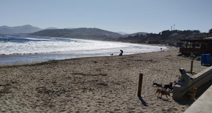 Playa al frente 