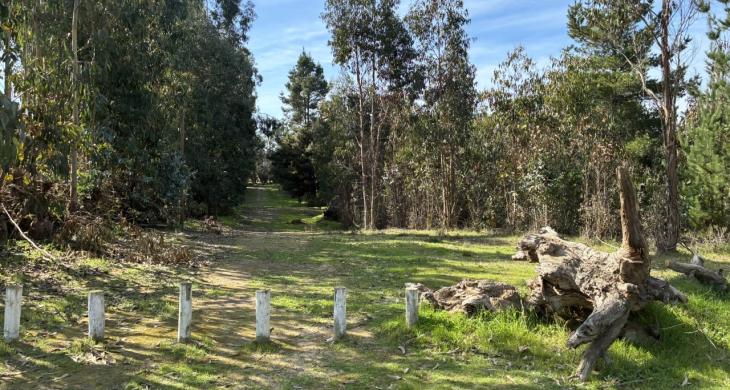 Tu lugar, tu refugio 