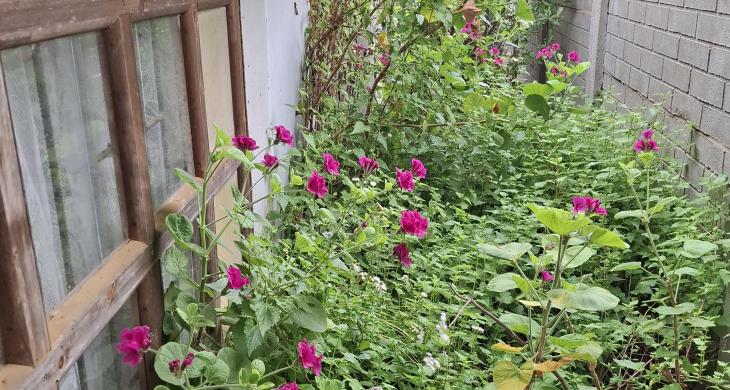 Rodeada de naturaleza 