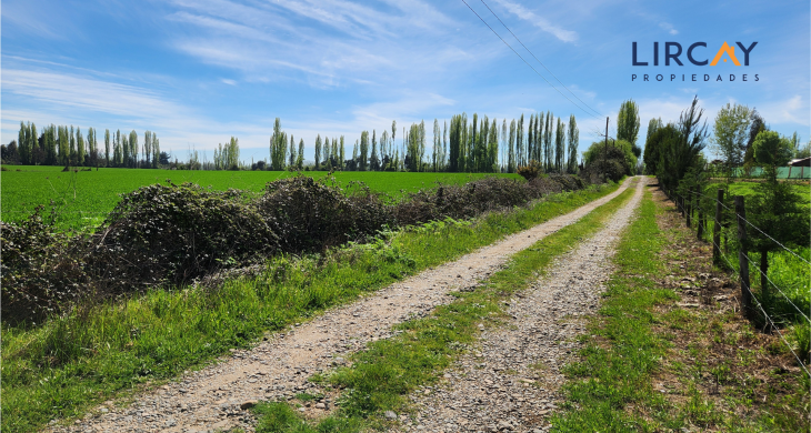 camino de servidumbre independiente
