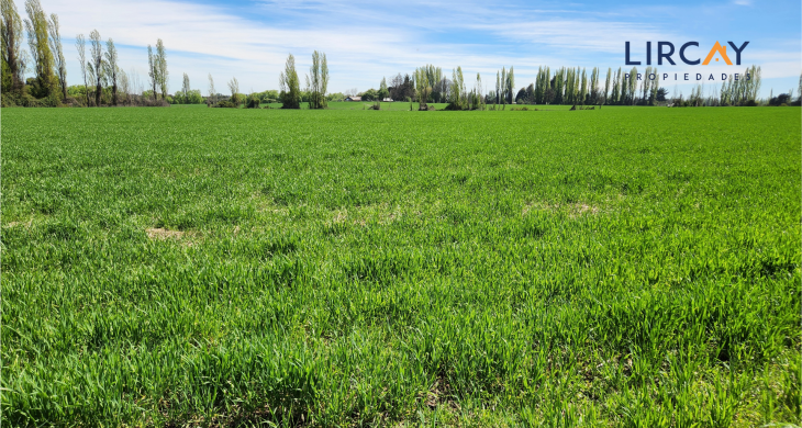 agua a 4 metros de profundida; ideal para inversionistas que quieran subdividir. 