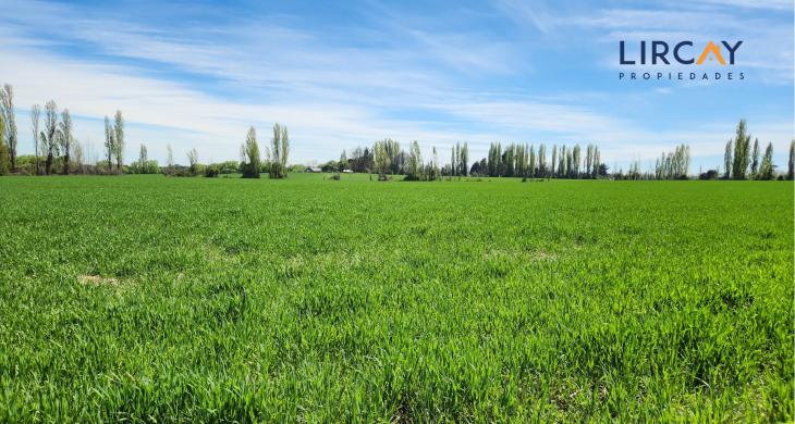 con empalme de luz eléctrica