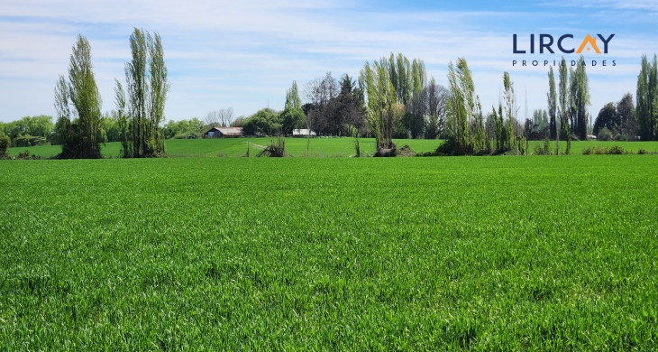 también posee 4,2 acciones de agua para riego