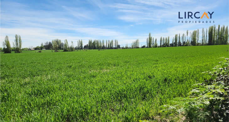 con vertientes naturales
