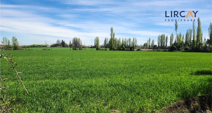 al norte colinda con camino L-673 (Carmen Oriente) y al sur limita con Estero Parral