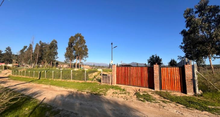 Rodeada de naturaleza 