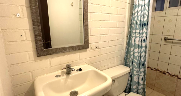 Primer baño al que se puede acceder desde el living y el primer dormitorio