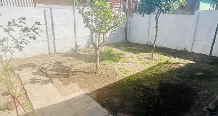 Patio con arboles frutales