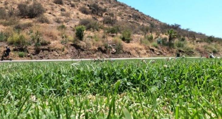 Vista desde la sepultura