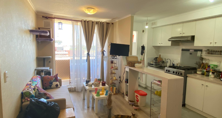 living cocina americana